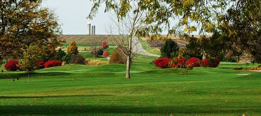 Tree and colorful flowers on golf course 