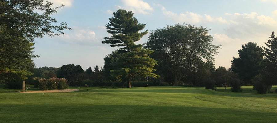 Golf course green with trees